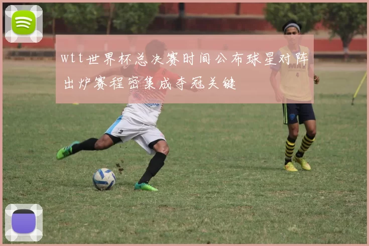 wtt世界杯总决赛时间公布球星对阵出炉赛程密集成夺冠关键