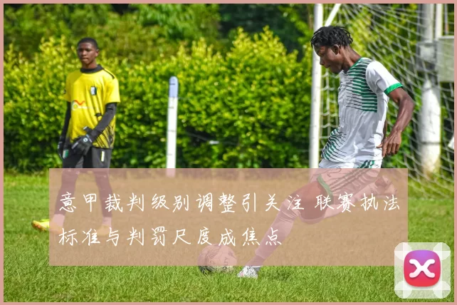 意甲裁判级别调整引关注 联赛执法标准与判罚尺度成焦点