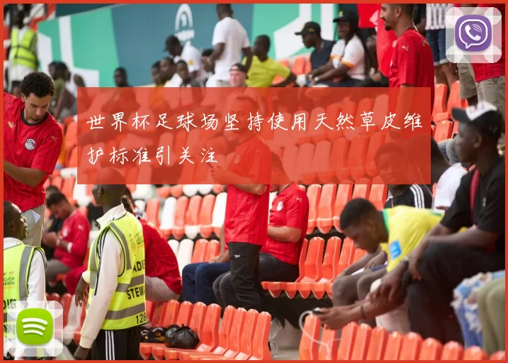 世界杯足球场坚持使用天然草皮维护标准引关注