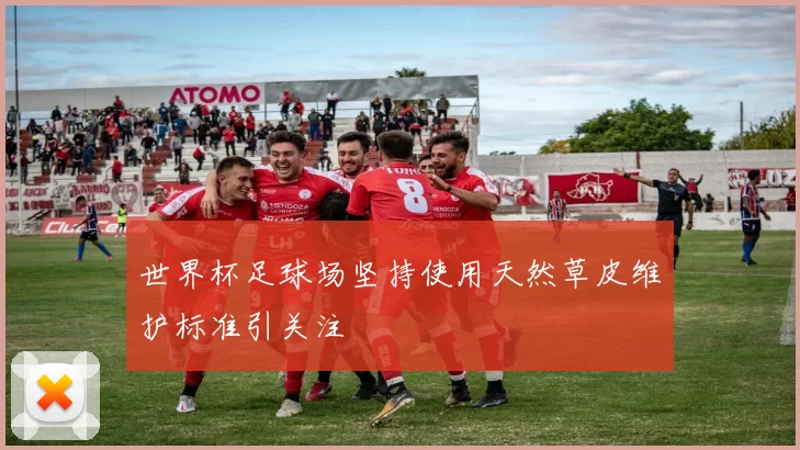 世界杯足球场坚持使用天然草皮维护标准引关注