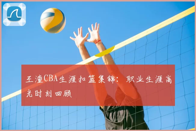 王潼CBA生涯扣篮集锦：职业生涯高光时刻回顾