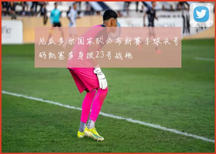 厄瓜多尔国家队公布新赛季球衣号码凯塞多身披23号战袍