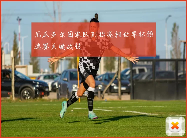 厄瓜多尔国家队别称亮相世界杯预选赛关键战役