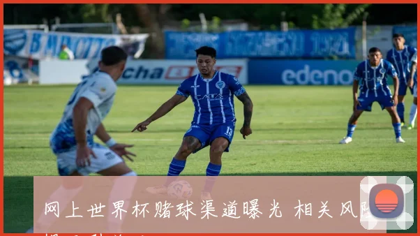 网上世界杯赌球渠道曝光 相关风险提示引关注