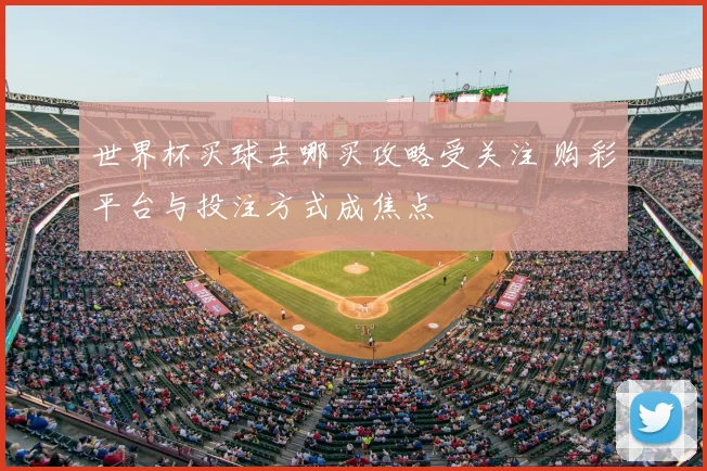 世界杯买球去哪买攻略受关注 购彩平台与投注方式成焦点