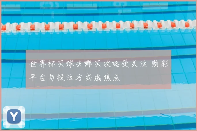 世界杯买球去哪买攻略受关注 购彩平台与投注方式成焦点