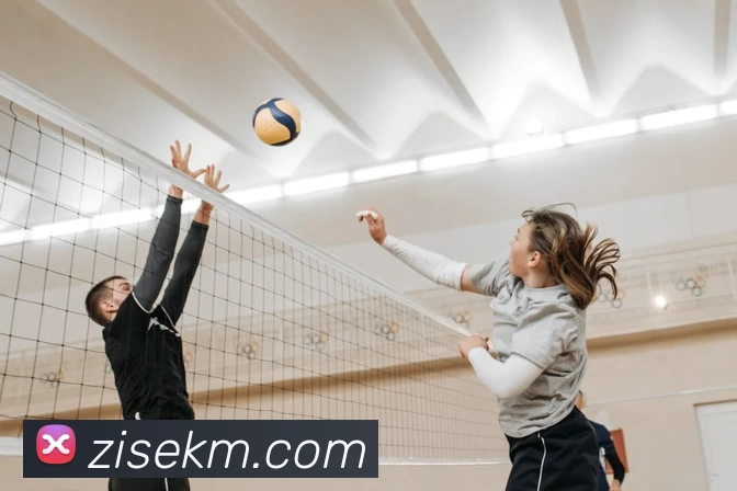 华会体育官网服务体系